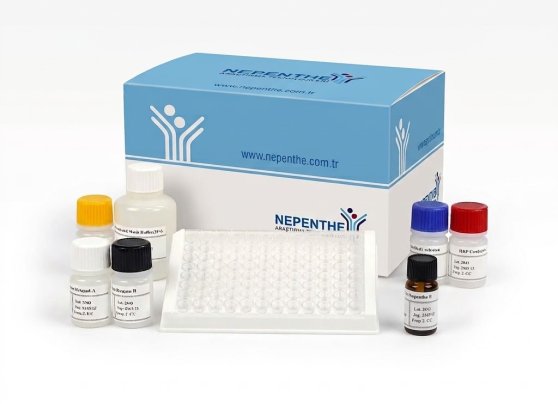 1-std ochratoxin a (ota) elisa kit